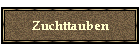 Zuchttauben